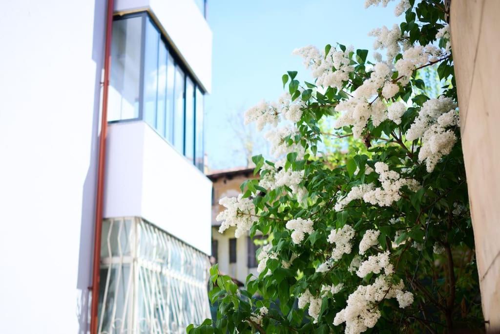 Central Old Town Oasis - Ap 6 Boekarest Buitenkant foto